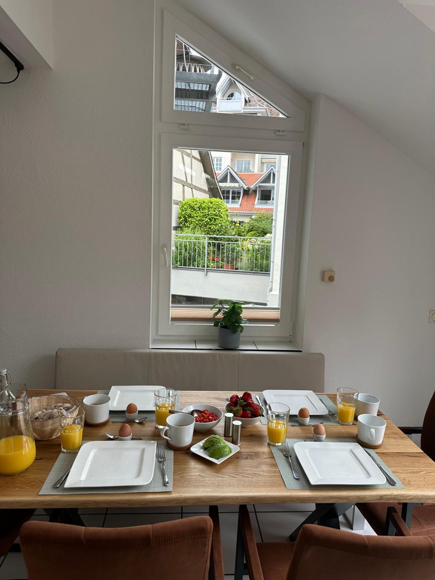 Stadtgarten Apartment *